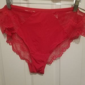Lane Bryant Panties